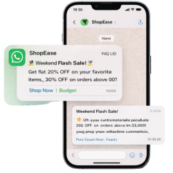 WhatsApp Campaign Example